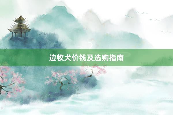边牧犬价钱及选购指南